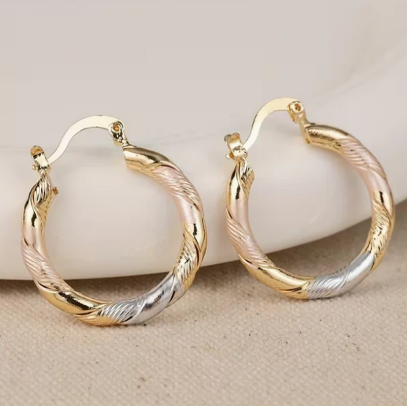 Twilight Harmony Twisted Hoop Earrings
